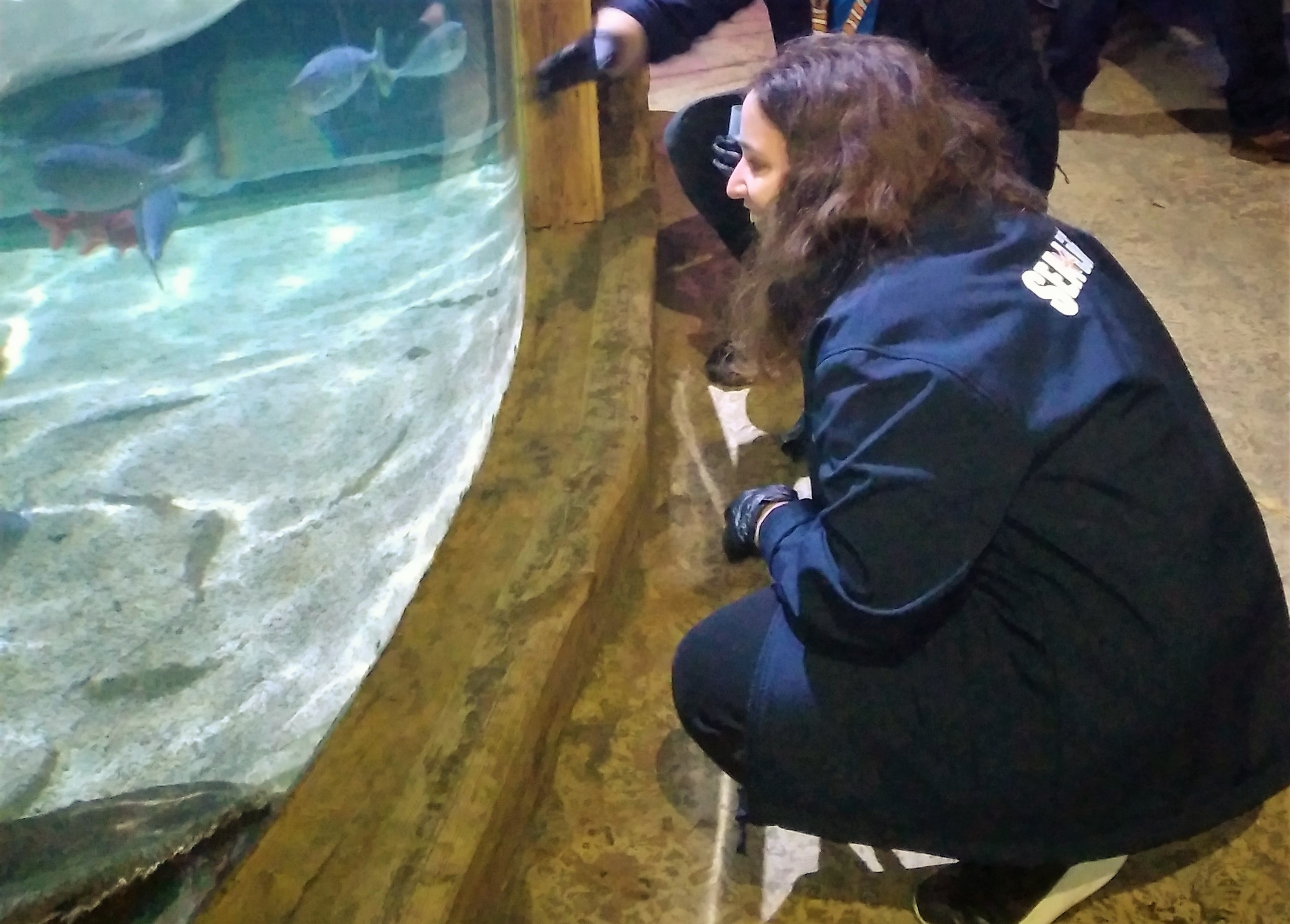 Charlotte viewing an aquarium  