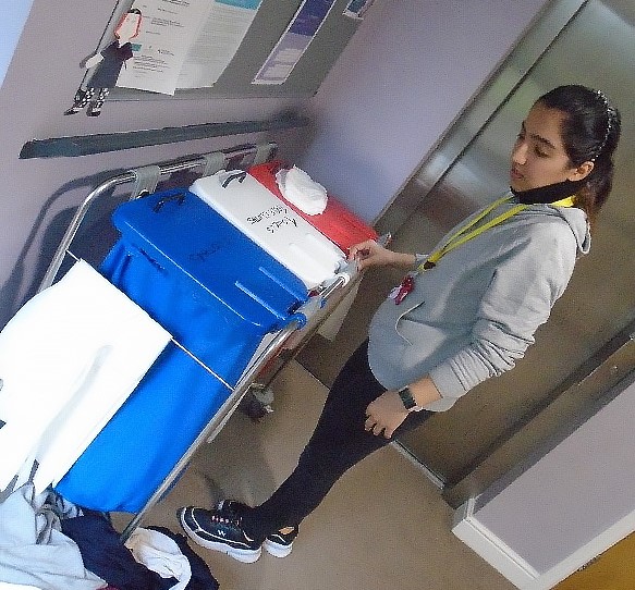 Fatemeh sorting washing