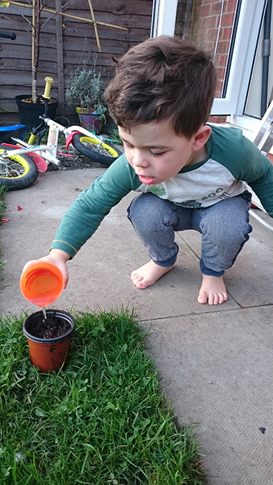 Young child watering seeds planted in a pot